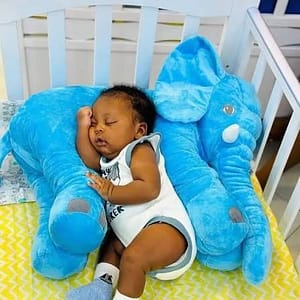 Baby Nest Lounger Cushion – Blue- Print Newborn Baby Resting Nest