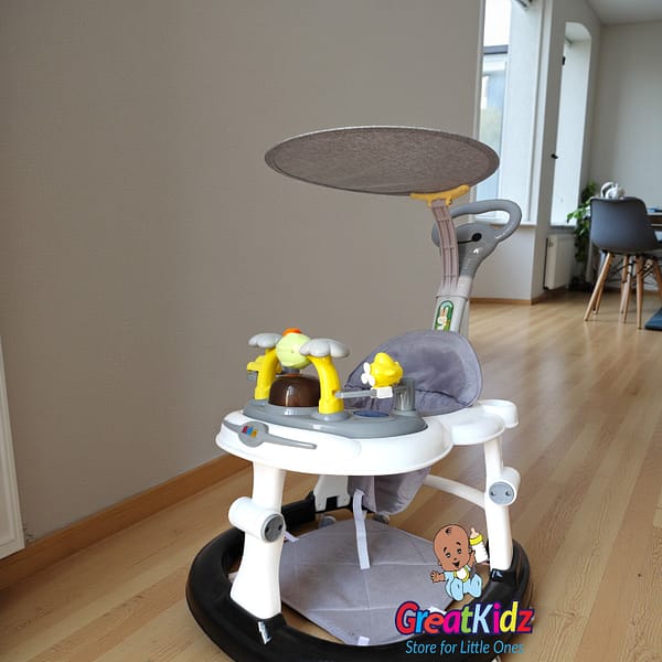 Baby Walker with Canopy, Push Handle & Activity Toys